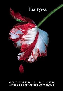 Capa do livro Lua Nova